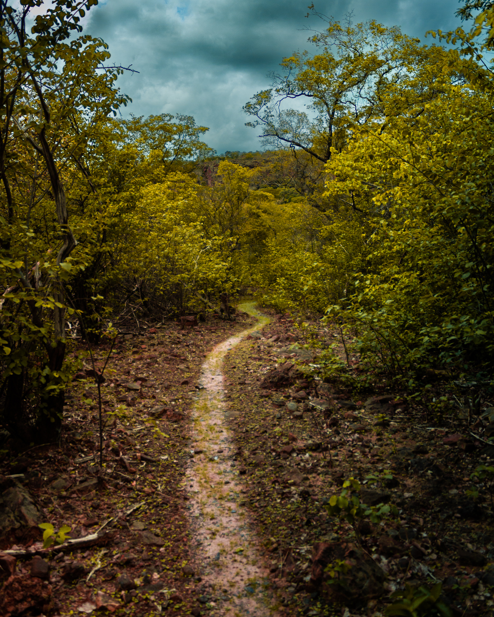Descrição da Foto 4: Comida gourmet em prato de restaurante